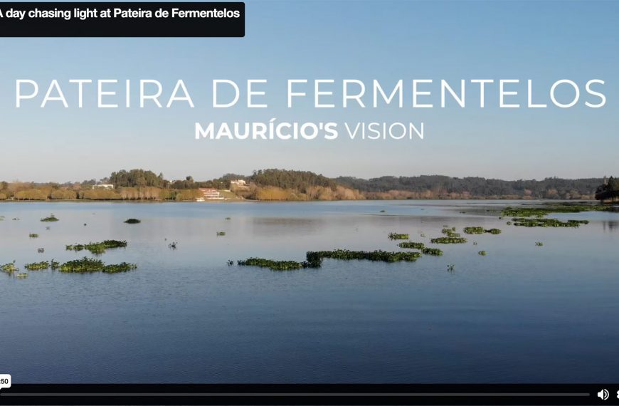 Premium/ A day chasing light at Pateira de Fermentelos (VIDEO)