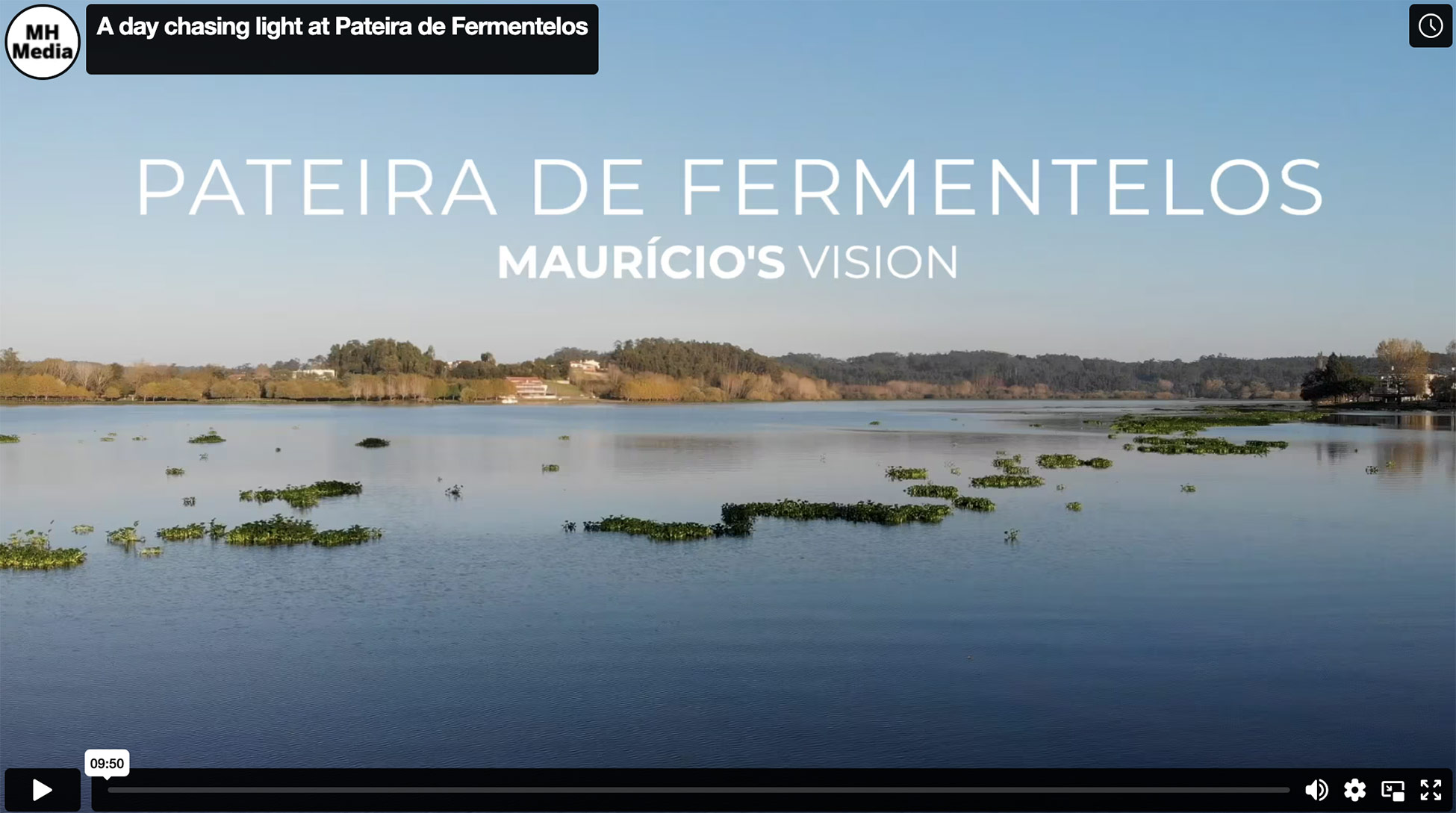 Premium/ A day chasing light at Pateira de Fermentelos (VIDEO)